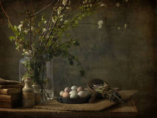 Photograph Natasha Nicholson Natnic_twigs on One Eyeland